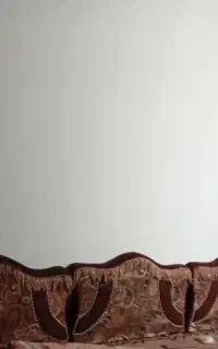پشتی