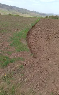 1.5هکتارزمین برای ساخت گلخانه