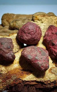 دیدین این آگهی اتفاقی نیست هبهاب خونی