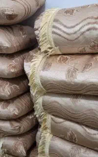 روبالشتی