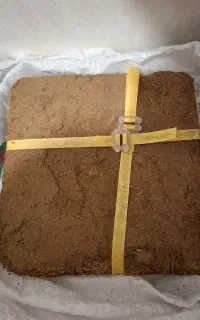 خاک کوکوپیت مخصوص حلزون