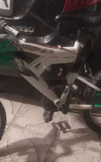 دوچرخه رالی ژاپن