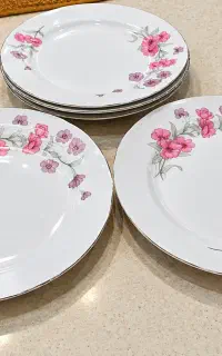 تعدادی ظروف پذیرایی