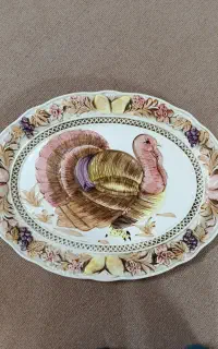 دیس بوقلمون ژاپنی