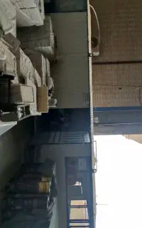 کانکس