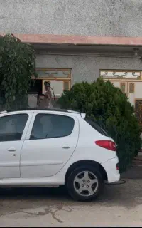 ماشین 207 اتومات پانورما کارمندی