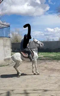 نریون کرد ۸ سالع