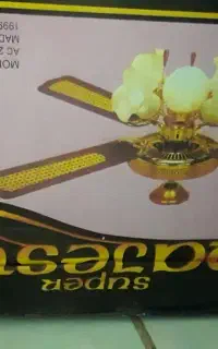 لوستر نو