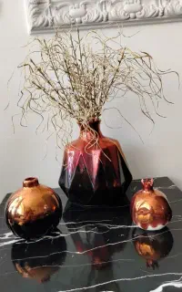 ظروف پذیرایی