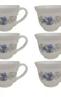 دودست فنجان آکروپال اصل