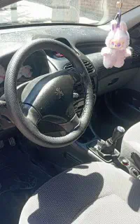 ۲۰۶ اس دی