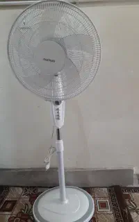 پنکه