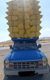 کاه