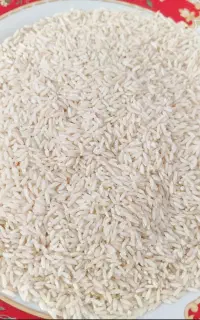 برنج صدری درجه یک