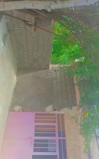 سوئیت اجاره ای خبر بافت