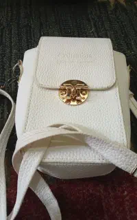 کیف مجلسی