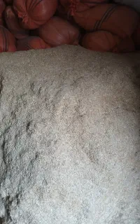 کاه گندم
