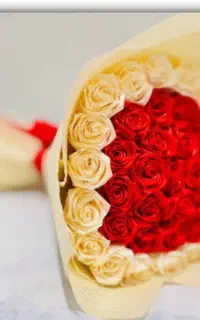 رز قرمز