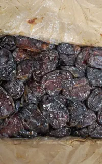 فروش خرمای درجه یک کبکاب بوشهر