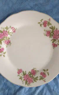 ظروف چینی
