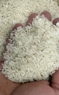 برنج پاکستانی