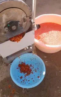 آبگوجه گیری