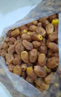 خرما زاهدی تازه برداشت آبادان درجه۱