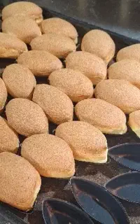 جویای کار بیکری فانتزی