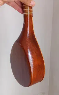 سه تار زیر عبایی