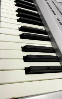 Korg pa80