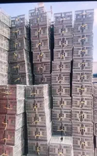 کارگر  خانم یا آقا  سبد سازی مازندران قاعمشهر