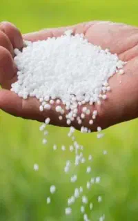 کود اوره
