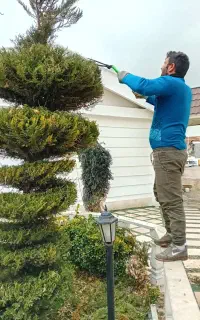 کارهای باغبانی گلکاری هرسکاری سمپاشی صفر تا صد