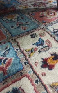 خدماتی ساکن برازجان