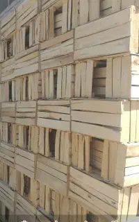 جعبه چوبی انگور