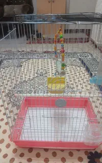 قفس بزرگ عروس هلندی و پرندگان با تمام وسایل
