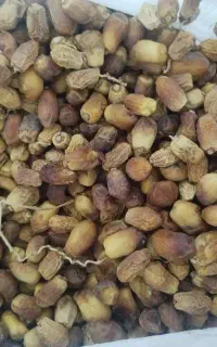 کنگه