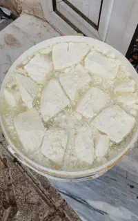 پنیر گوسفندی