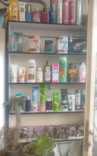 آرایشگرسیار