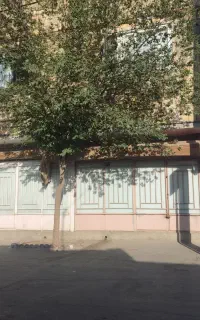فروش مغازه وخانه