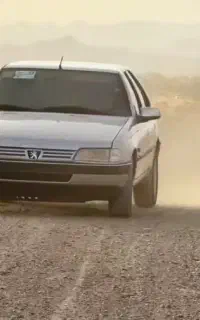 لاستیک پژو نو ۴ حلقه