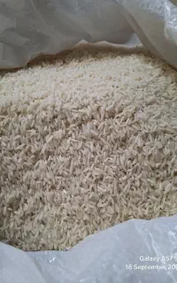 برنج هاشمی اعلاء امساله