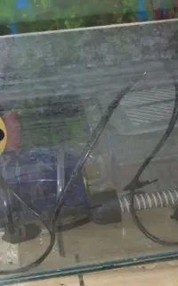 آکواریوم و لوازم