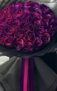 گل های زیبا و جاویدان و با قیمت فوق العاده اقتصادی