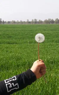 سیم کارت ایرانسل ۰۹۹۰۱۳۶۳۱۲۳