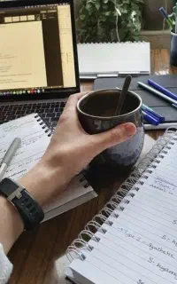 ضامن ضمانت سند
