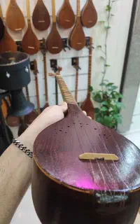 سه تار حیدری