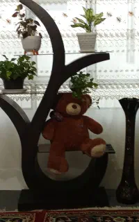 جا گلدان