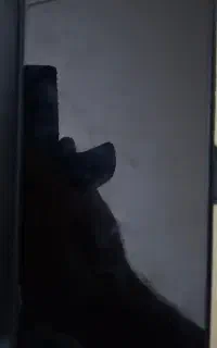گوشی هواوی y9s