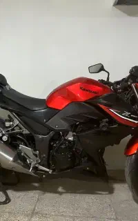 z250